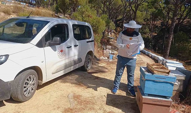 Bozdoğan'da arıcılara yönelik destek çalışmaları sürüyor