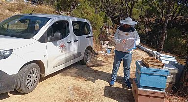 Bozdoğan'da arıcılara yönelik destek çalışmaları sürüyor