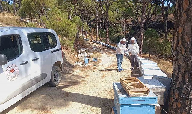 Bozdoğan'da arılı kovan desteği için sahada tespit çalışması