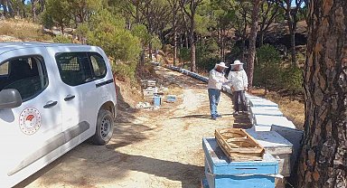 Bozdoğan'da arılı kovan desteği için sahada tespit çalışması