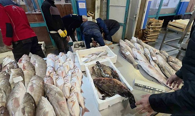 Buca Balık Hali'nde gece denetimi: Yasa dışı avlanan su ürünlerine el konuldu