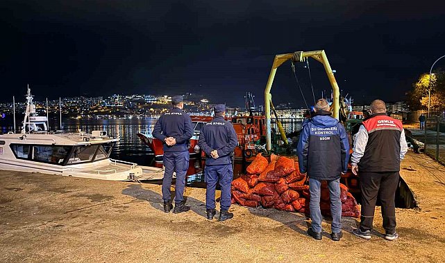 Bursa'da 350 kilo kaçak midye ele geçirildi