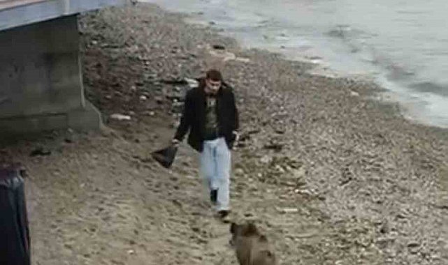 Bursa'da aç kalan domuz Mudanya sahiline indi