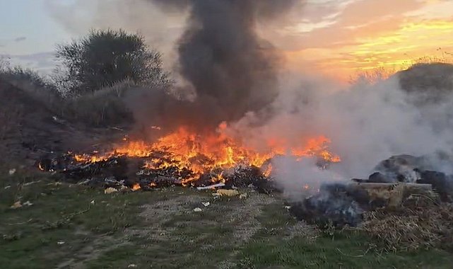 Bursa'da boş arazide çıkan yangın büyümeden söndürüldü