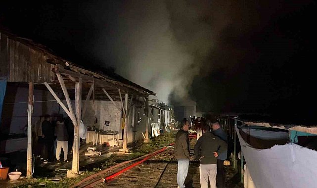 Bursa'da hayvan çiftliği alevlere teslim oldu
