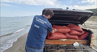Bursa'da kaçak avcılığa geçit yok: 2 ton 760 kilo kum şırlanı doğaya bırakıldı