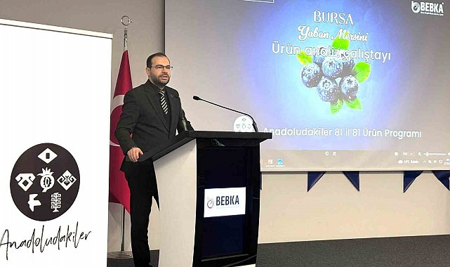 Bursa'nın yaban mersini için yol haritası paydaşlarla çiziliyor