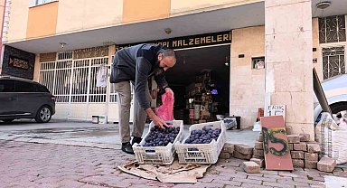 Bursalı çiftçi erikleri dalında bırakmadı, çöpe atmadı fenomen oldu