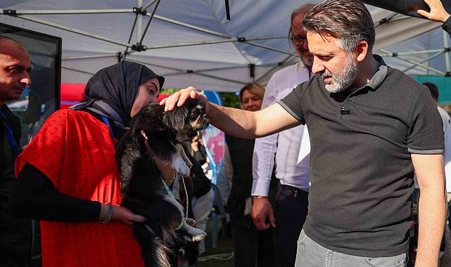 Büyükşehir'den can dostları için yuva seferberliği