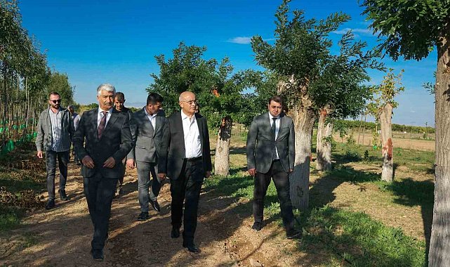 Büyükşehir'den yılda 20 bin fidan ve 50 bin metrekare rulo çim üretimi