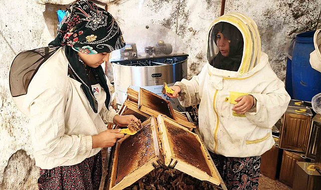 Çam balının başkenti Muğla'da glikozlu bal tepkisi