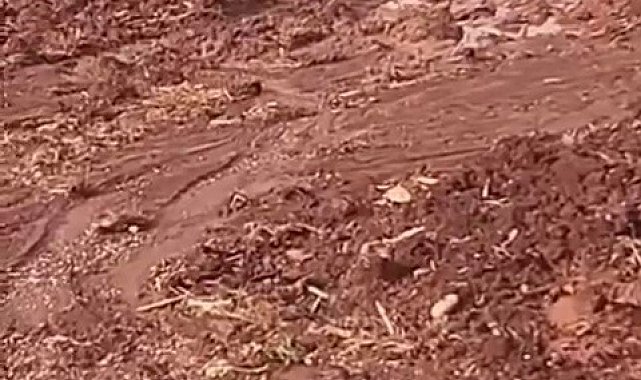 Çamura saplanan eşeği itfaiye ekipleri kurtardı
