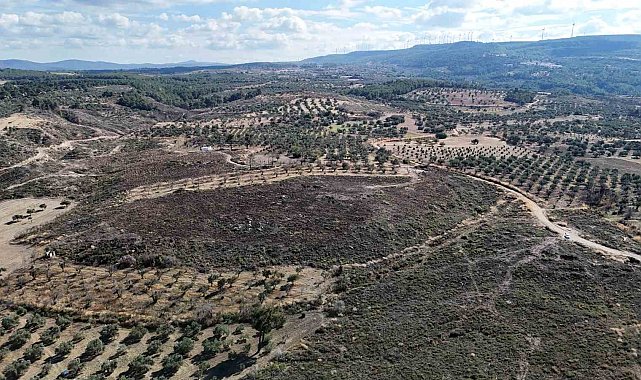 Çanakkale'de yanan ormanlar küllerinden doğuyor