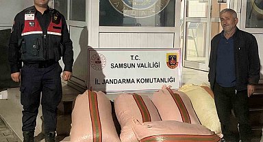 Çarşamba'da fındık dolandırıcılığı: 2 gözaltı