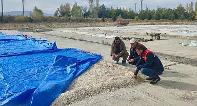 Çay'da kabak çekirdeği ve elma üreticilerine saha ziyareti