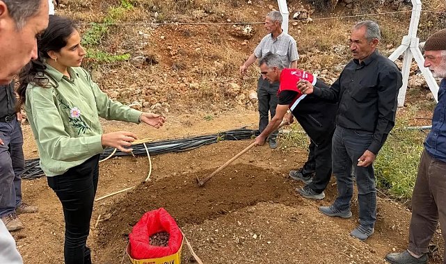 Çelikhan'da 10 üreticiye 90 kilogram salep yumrusu dağıtıldı