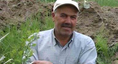 Ceviz ağacından düşerek öldü