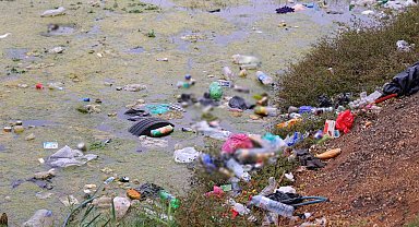 Çevre kirliliği nilüferleri tehdit ediyor