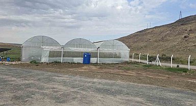 Cizre'de örtü altı yetiştiriciliğine devlet eli
