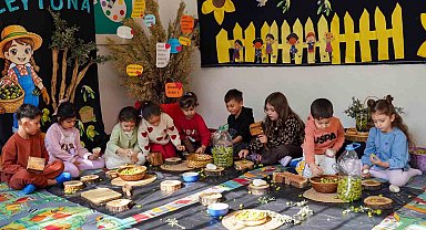 Çocuklar zeytin kırdı, geleneksel üretimle tanıştı