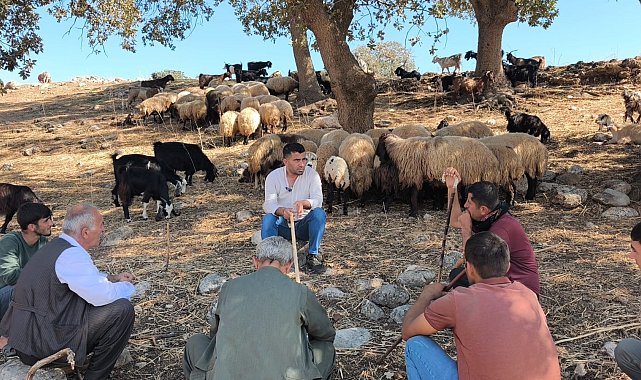 Cudi Dağı eteklerinde çobanlara uygulamalı sürü yönetimi eğitimi