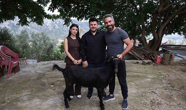 Damadın et sevgisini bilen arkadaşı düğünde keçi hediye etti