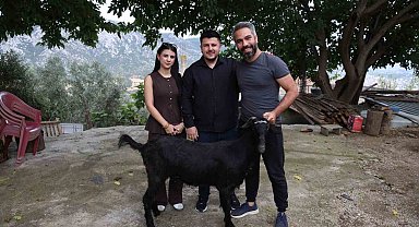 Damadın et sevgisini bilen arkadaşı düğünde keçi hediye etti