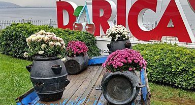 Darıca'da yeşil alanlar mevsimlik çiçeklerle renkleniyor