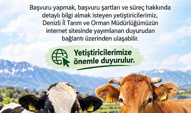 Denizli'de 2027 yılı besilik sığır ithalatı başvuruları başladı