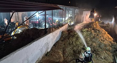 Denizli'de besihanede çıkan yangın söndürüldü