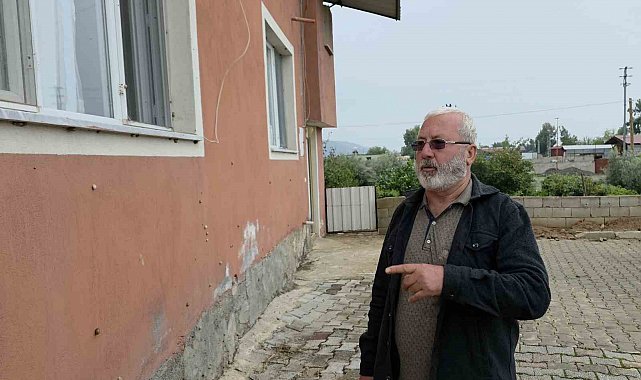 Depremin ardından ortaya çıkan salyangozlar mahalleyi ele geçirdi