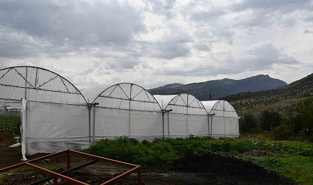Devletten aldıkları yüzde 50 hibe ile ailelerin kurduğu seralar gelir kaynakları oldu
