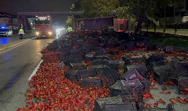 Devrilen kamyondaki 10 ton kapya biber yola saçıldı: 2 yaralı