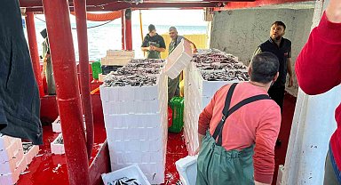 Didim'de 'Hamsi Kotası' denetimi yapıldı