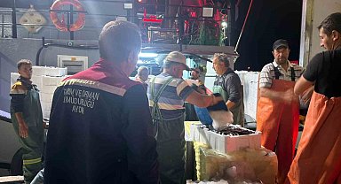 Didim'de 'Hamsi Kotası' denetimi yapıldı