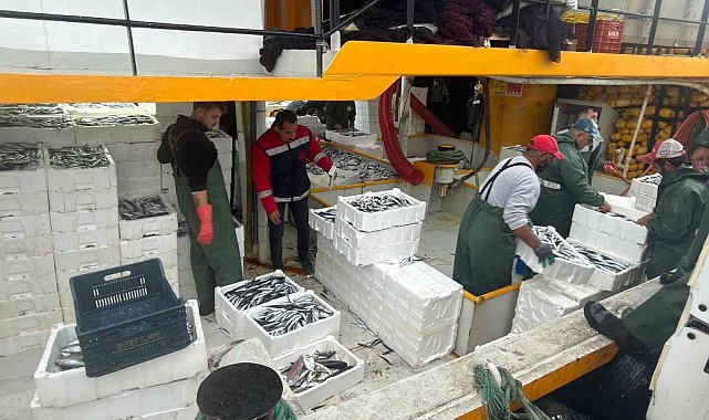 Didim'de hamsi kotası denetimleri sürüyor