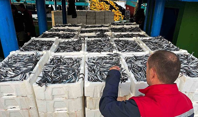 Didim'de su ürünleri avcılığı denetimleri sürüyor