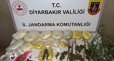Diyarbakır'da 59 bin kök kenevir ile 109 kilo uyuşturucu ele geçirildi