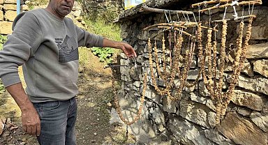 Diyarbakır'da bağ bozumu başladı