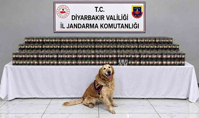 Diyarbakır'da kaçakçılık operasyonlarında 29 şüpheli hakkında işlem yapıldı