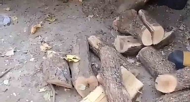 Diyarbakır'da odunluğa giren yılan itfaiyeyi harekete geçirdi