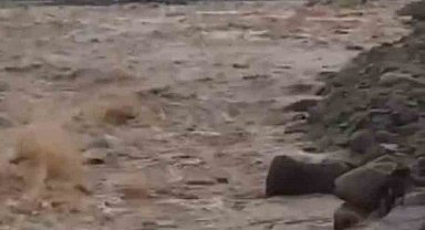Diyarbakır'da sağanak yağış menfezleri yıktı