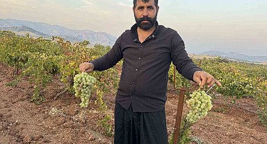 Diyarbakır'da yetiştiriliyor, 81 ile gönderiliyor