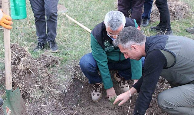 DSİ ve orman teşkilatından 'Yeşil Vatan' için güç birliği: İlk fidanlar toprakla buluştu