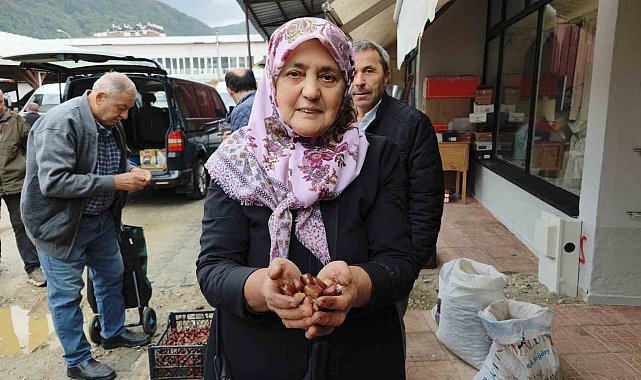Dünyaca ünlü Erfelek kuzu kestanesi tezgahlarda