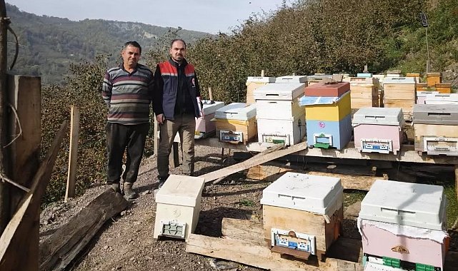 Düzce'de 4 köyde arılı kovan sayımı yapıldı
