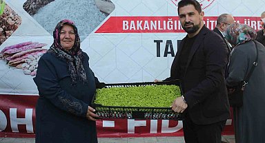 Düzce'de çiftçilere 2,6 milyon TL'lik fide ve tohum desteği