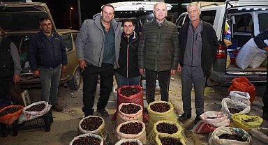 Düzce'de kuzu kestanesi pazarına davet