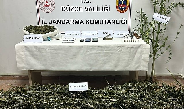 Düzce'de uyuşturucu operasyonu: 2 gözaltı