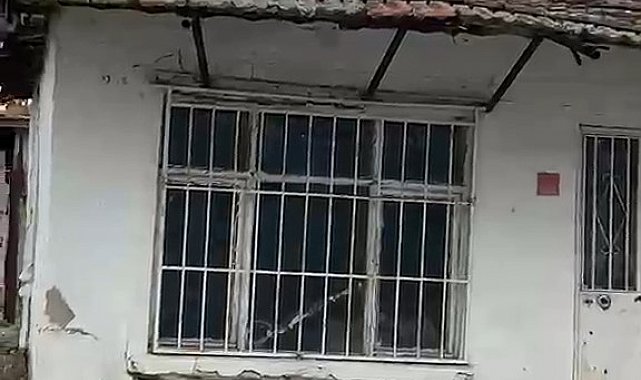 Edirne'de çatıya çıkan koyun şaşırttı: Otları yemek için çatıya çıktı